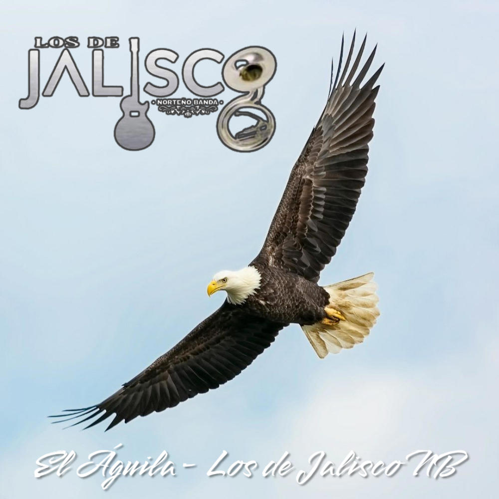 El Águila (feat. Los de Jalisco Norteño Banda)