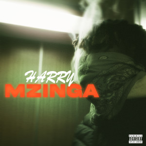 Listen to Mzinga (Explicit) song with lyrics from Harry