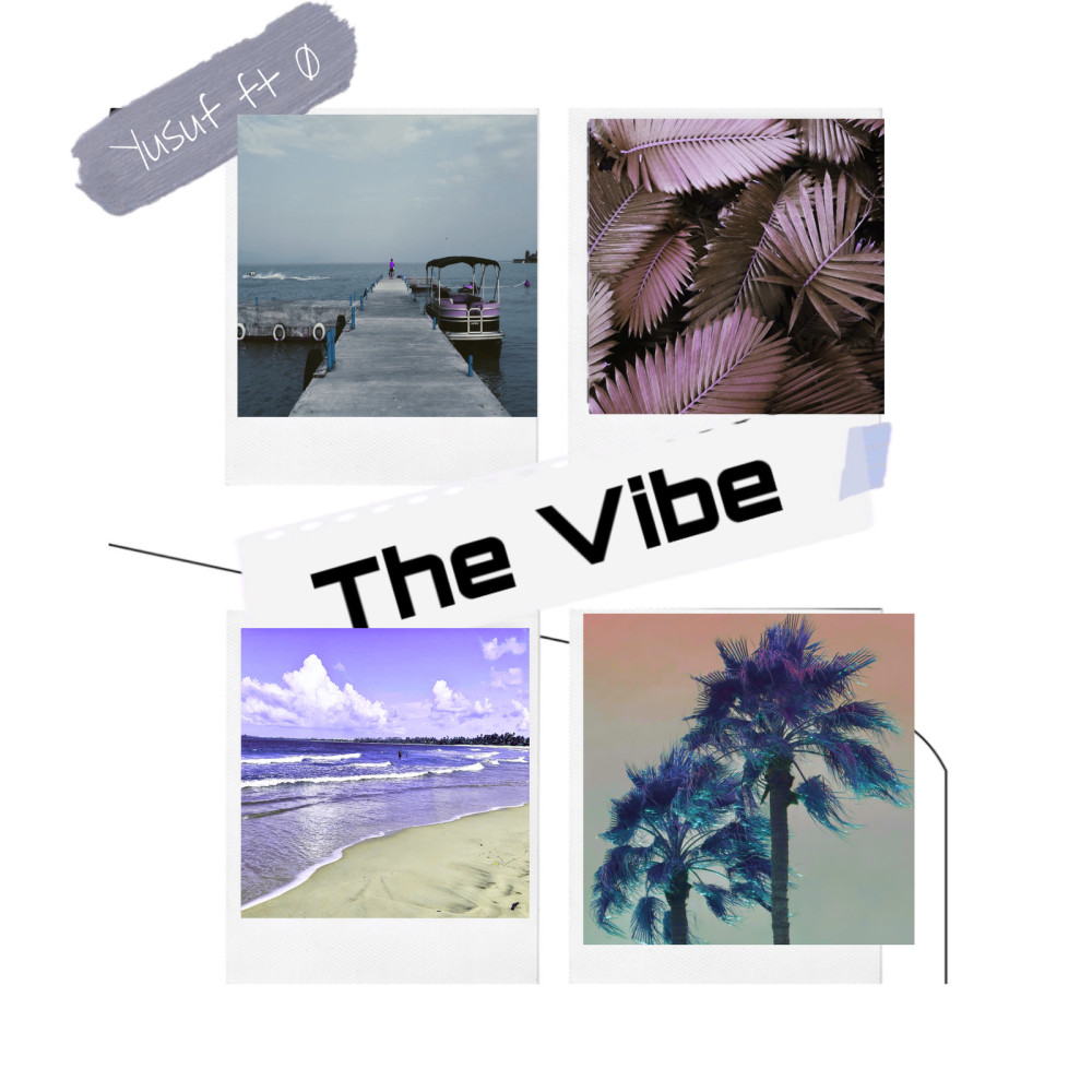 The Vibe (Tortori)