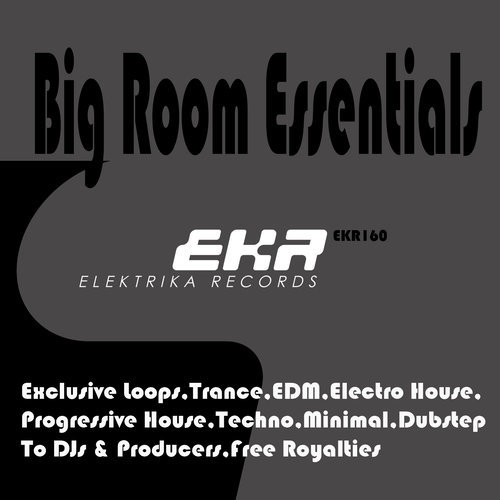 Big Room Essentials 128