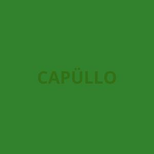 อัลบัม CAPÜLLO (feat. Mestizo) [Explicit] ศิลปิน Mestizo