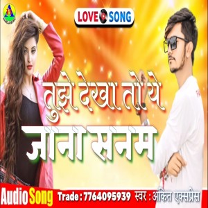 Ankit Express的專輯Tujhe Dekha To Ye Jana Sanam