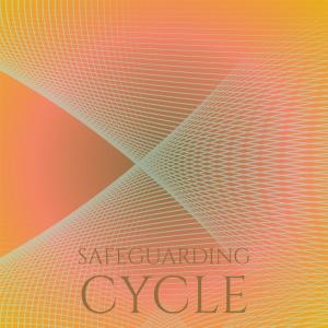 Album Safeguarding Cycle oleh Various