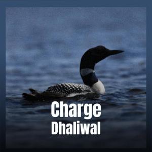 ดาวน์โหลดและฟังเพลง Charge Dhaliwal พร้อมเนื้อเพลงจาก Soan Gert