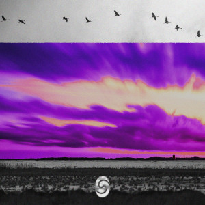 Album Lila Sky (Rmx) from CSC