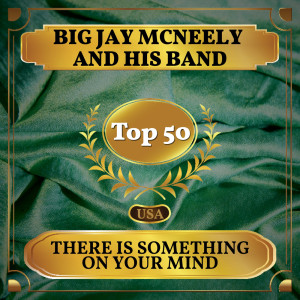 Dengarkan There Is Something On Your Mind lagu dari Big Jay McNeely & His Band dengan lirik