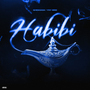 Listen to Habibi (Explicit) song with lyrics from Gheboasa