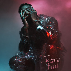 ดาวน์โหลดและฟังเพลง Touchy Feely พร้อมเนื้อเพลงจาก Ro James