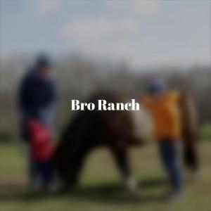 Listen to Spel song with lyrics from Jamil Preen