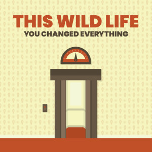 收听This Wild Life的You Changed Everything歌词歌曲