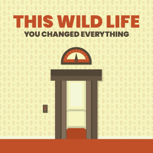 收听This Wild Life的You Changed Everything歌词歌曲