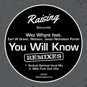 Album You Will Know (The Remixes) oleh Nickson