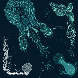Album Blue Experience from Shape Of Broad Minds
