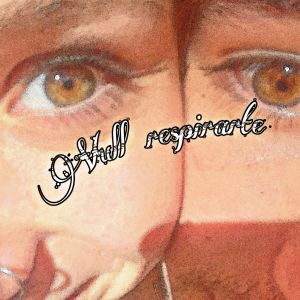 收聽AKA CITOS的VULL RESPIRAR-TE歌詞歌曲