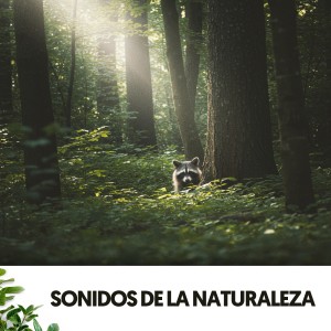 Dog Relaxation的專輯Sonidos de la Naturaleza: Symphony of Nature