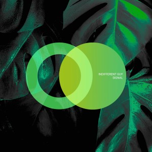 Album Signal from Indifferent Guy