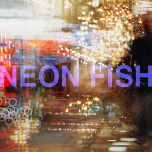 อัลบัม NEON FISH ศิลปิน Asako Toki