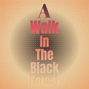 收聽Horst Jankowski的A Walk in the Black Forest歌詞歌曲