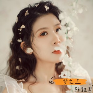 陈雅君的专辑梦之上