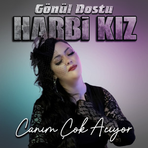 Listen to Unutmak Zorundayım song with lyrics from Gönül Dostu Harbi Kız