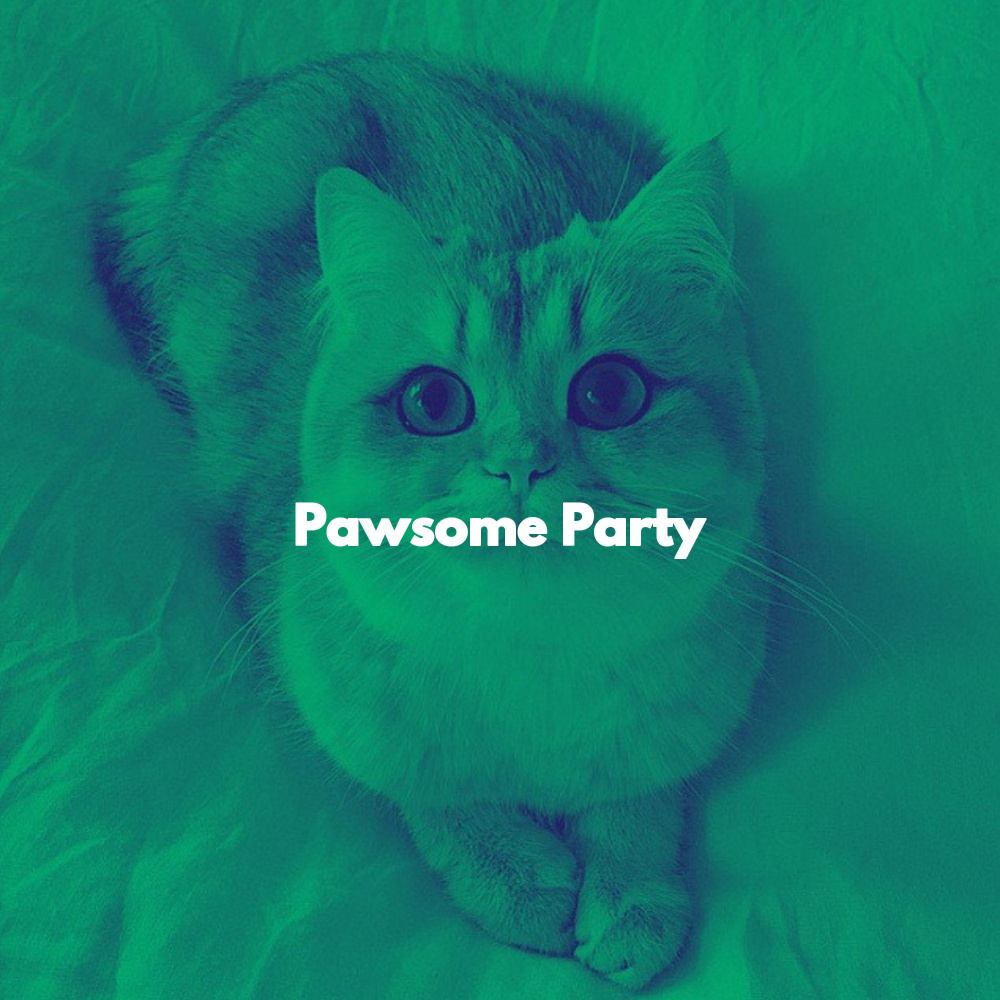 Number One Ambience for Quiet Cat