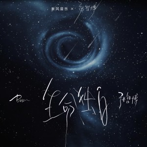 Listen to 生命独白 (伴奏) song with lyrics from 张智博