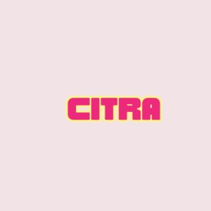 Album Tersakiti oleh Citra