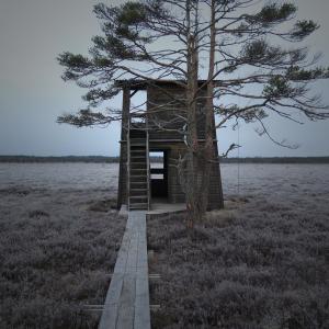 Dengarkan Jag är en dröm lagu dari Ulgebräk dengan lirik