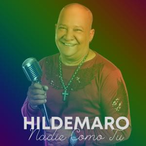 Listen to Nadie Como Tu (En Vivo) song with lyrics from Hildemaro