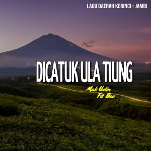 Album Dicatuk Ula Tiung from Mak Udin