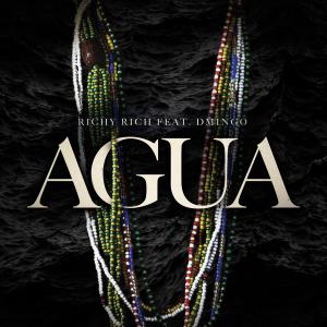Album Agua (feat. D'Mingo) from Richy Rich
