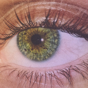 ดาวน์โหลดและฟังเพลง Grüne Augen lügen nicht (Explicit) พร้อมเนื้อเพลงจาก JEREMIAS