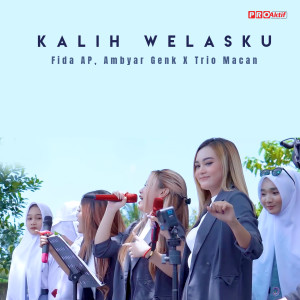 Dengarkan Kalih Welasku (Live) lagu dari Fida AP dengan lirik