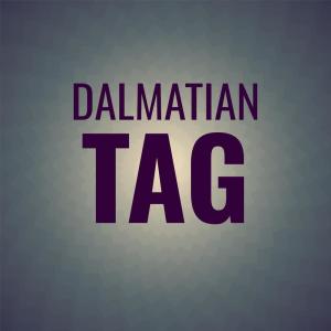 Album Dalmatian Tag oleh Various