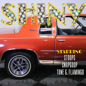 Listen to Shiny (Explicit) song with lyrics from Tone G. Flamingo