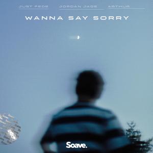 Album Wanna Say Sorry from Federico Sonnino
