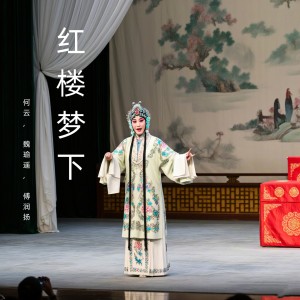 Album 红楼梦下 (黄梅戏) oleh 何云