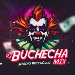 Listen to Xerecão Psicodélico (Explicit) song with lyrics from Dj Buchecha Mix
