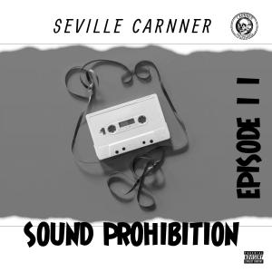 收聽Seville Carnner的Quantum Fesival (feat. SoulKingz & TheCatalyst Musix ZA)歌詞歌曲