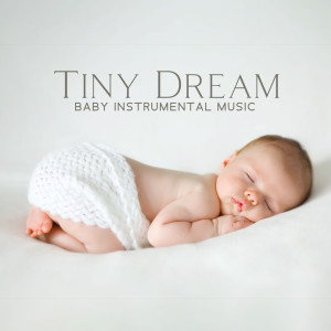 Tiny Dream (Baby Instrumental Music, Sweet Zzz, Soft Slumber) dari Baby Music Center
