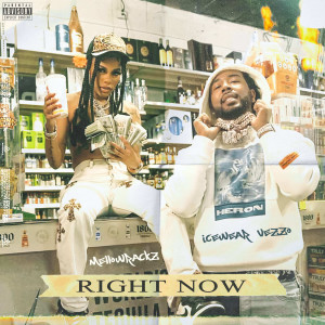 Listen to Right Now (Explicit) song with lyrics from Mellow Rackz