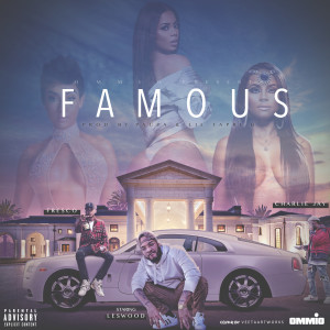 ดาวน์โหลดและฟังเพลง Famous (Explicit) พร้อมเนื้อเพลงจาก Leswood