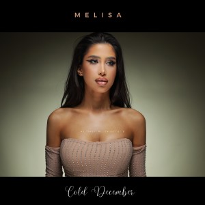 收聽Melisa (Si Abang Tukang Bakso)的Cold December歌詞歌曲