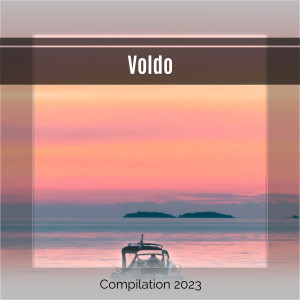 Various Artists的專輯Voldo