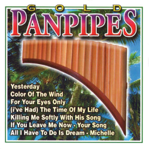 ดาวน์โหลดและฟังเพลง Color Of The Wind พร้อมเนื้อเพลงจาก Orchestra Panpipes Gold