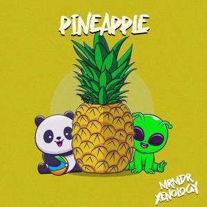 ดาวน์โหลดและฟังเพลง Pineapple พร้อมเนื้อเพลงจาก Xenology