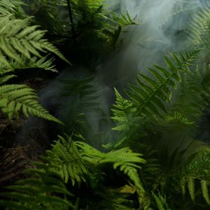 Dengarkan lagu Third Eye Flow nyanyian SPA dengan lirik