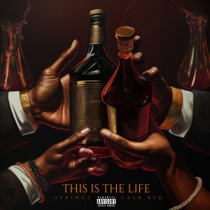 Springz的專輯This Is The Life (feat. Cash BFD) (Explicit)