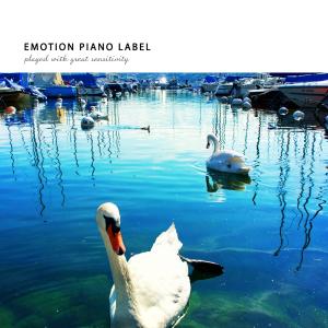 Album Emotional journey with fairy tale with piano from Various Artists
