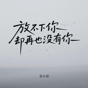 Album 放不下你却再也没有你 from 袁小袁